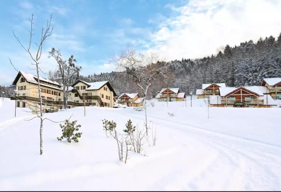Duplex-Chalet Entre Lac Et Montagne Avec Balcon Lugrin Eksteriør bilde